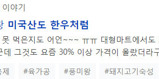 미국산도 한우처럼 고기연육제 풍미왕 